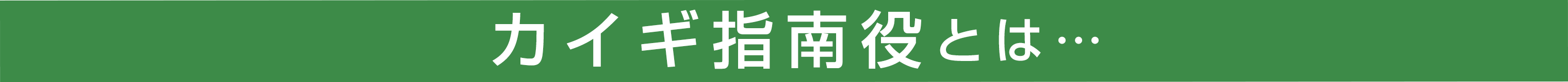 カイギ指南役とは…