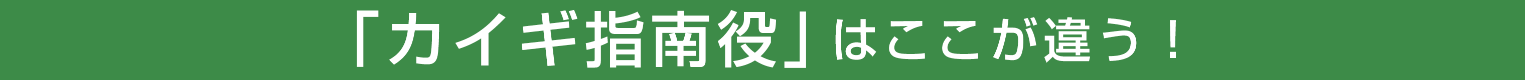「カイギ指南役」はここが違う!