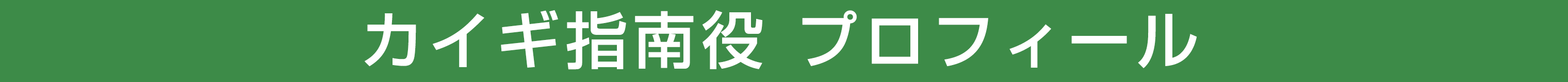 カイギ指南役 プロフィール
