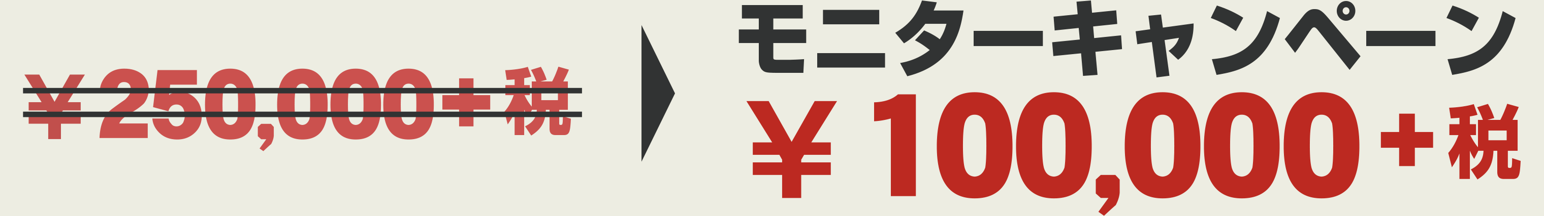 モニターキャンペーン \100,000-+税